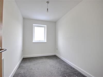 Picture 29